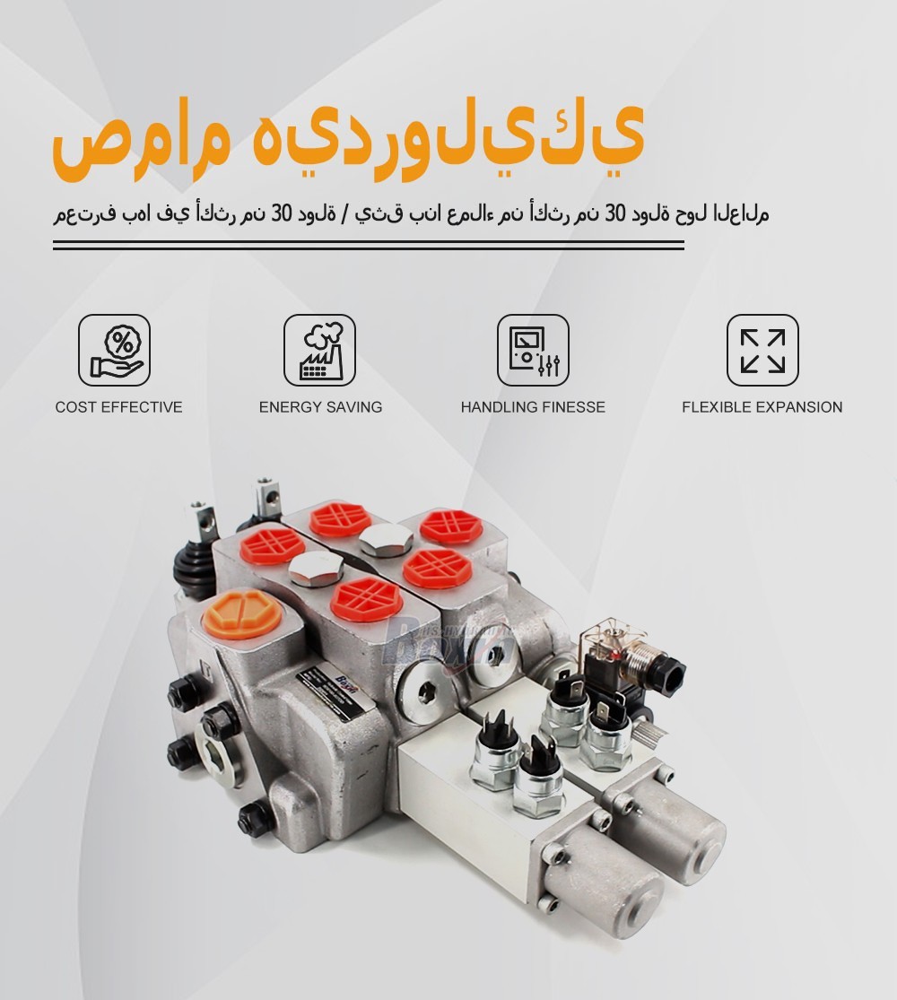 OEM and ODM Services for SDS180-PG2-2OTDD Manual 2 Spool Sectional Valve