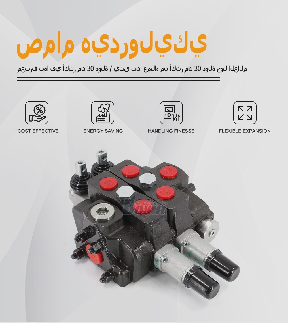 SDS180T-2CB-OT Manual 2 Spool Sectional Directional Valve for Hydraulic Systems