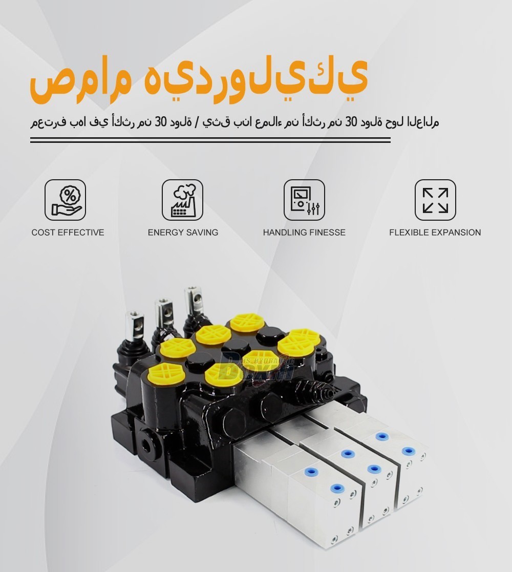 OEM and Private Label Services for WZF-125 3 Spool Monoblock Valves
