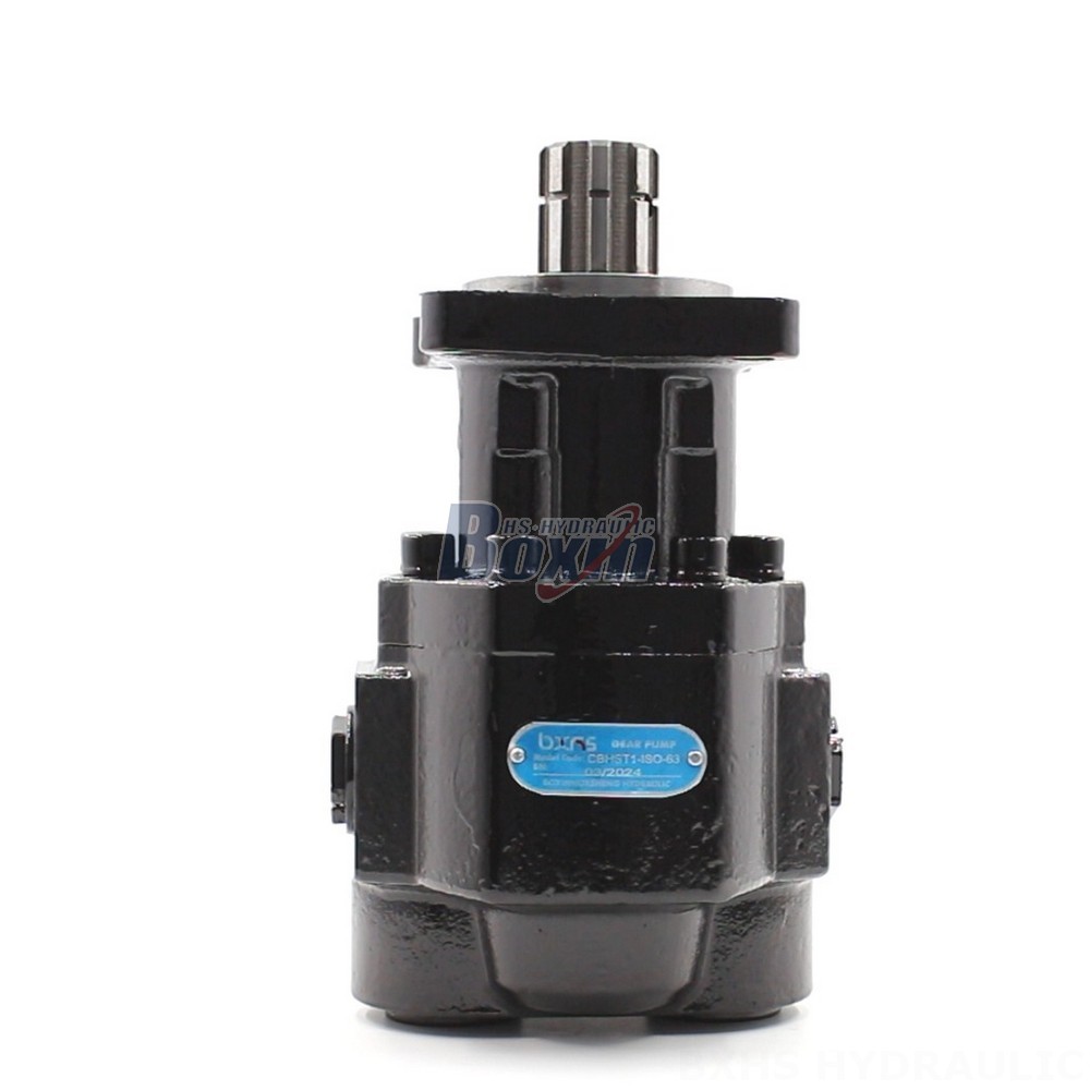 Factory Prices and Exceptional Quality: Choose CBHST1-ISO-63 Pumps Today main image