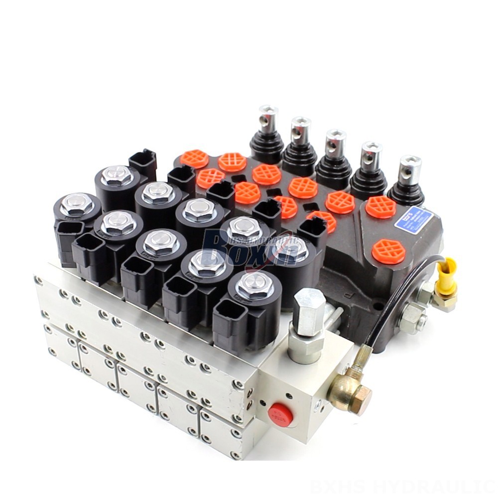 Your Brand, Our Expertise: Private Label Manufacturing of DCV40Z Valves main image