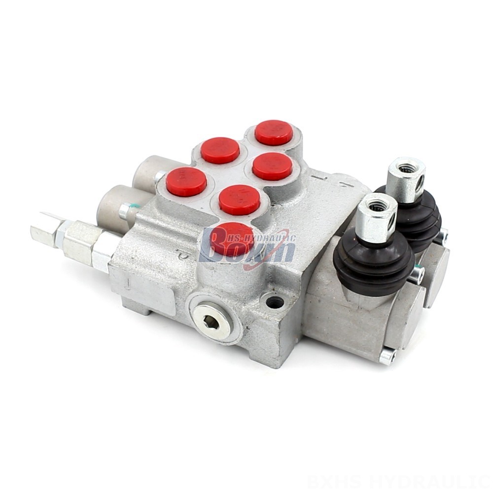 Monoblock Directional Valve P40-DKL: Precision Engineering & High-Quality cover photo