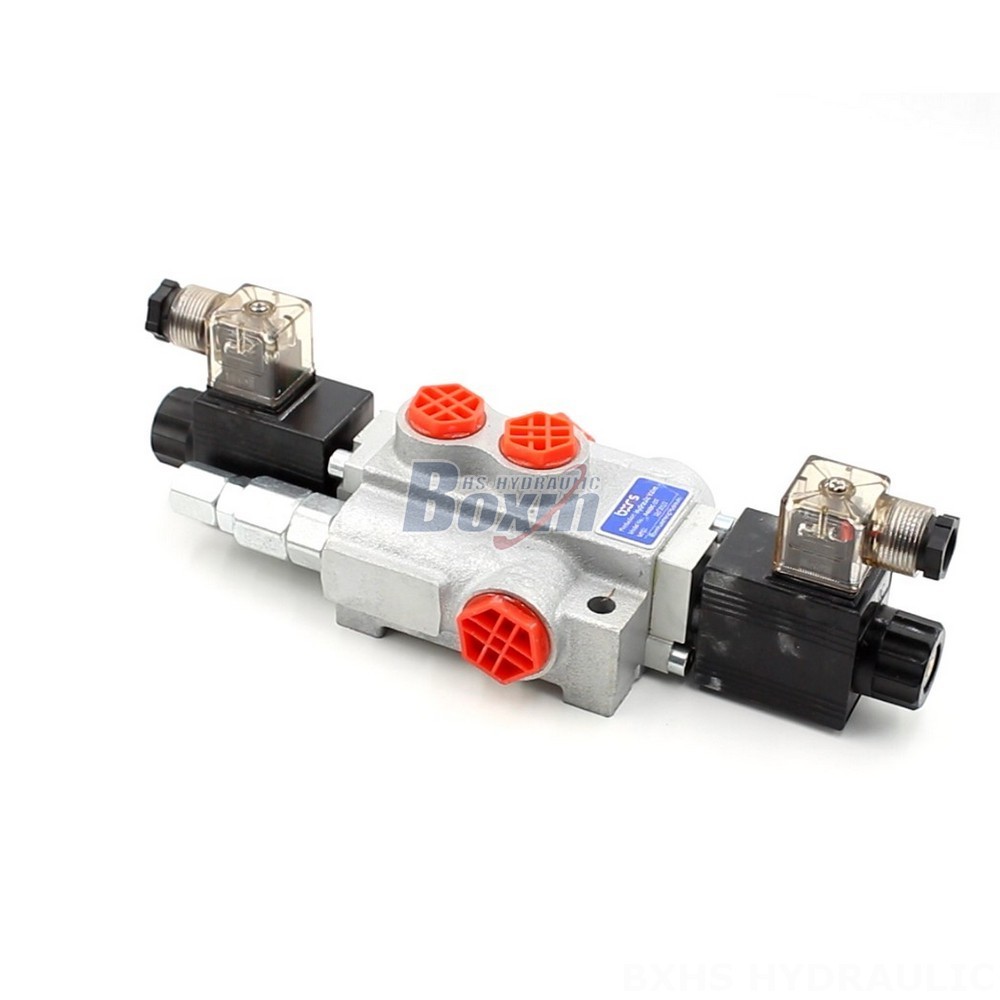 P40-DKL Valves: OEM/ODM Services for Private Labeling & Customization main image