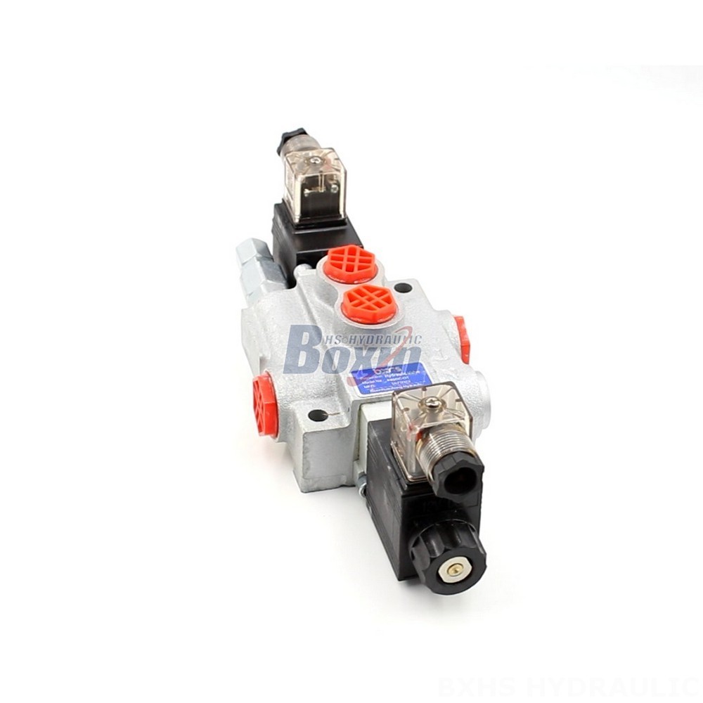 P40-DKL Valves: OEM/ODM Services for Private Labeling & Customization main image