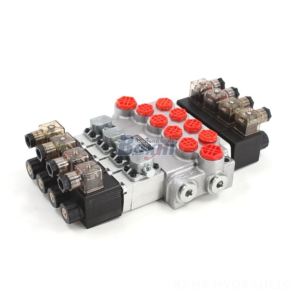 4 Spool Monoblock Directional Valve (P40-DS) - Wholesale & OEM Available cover photo