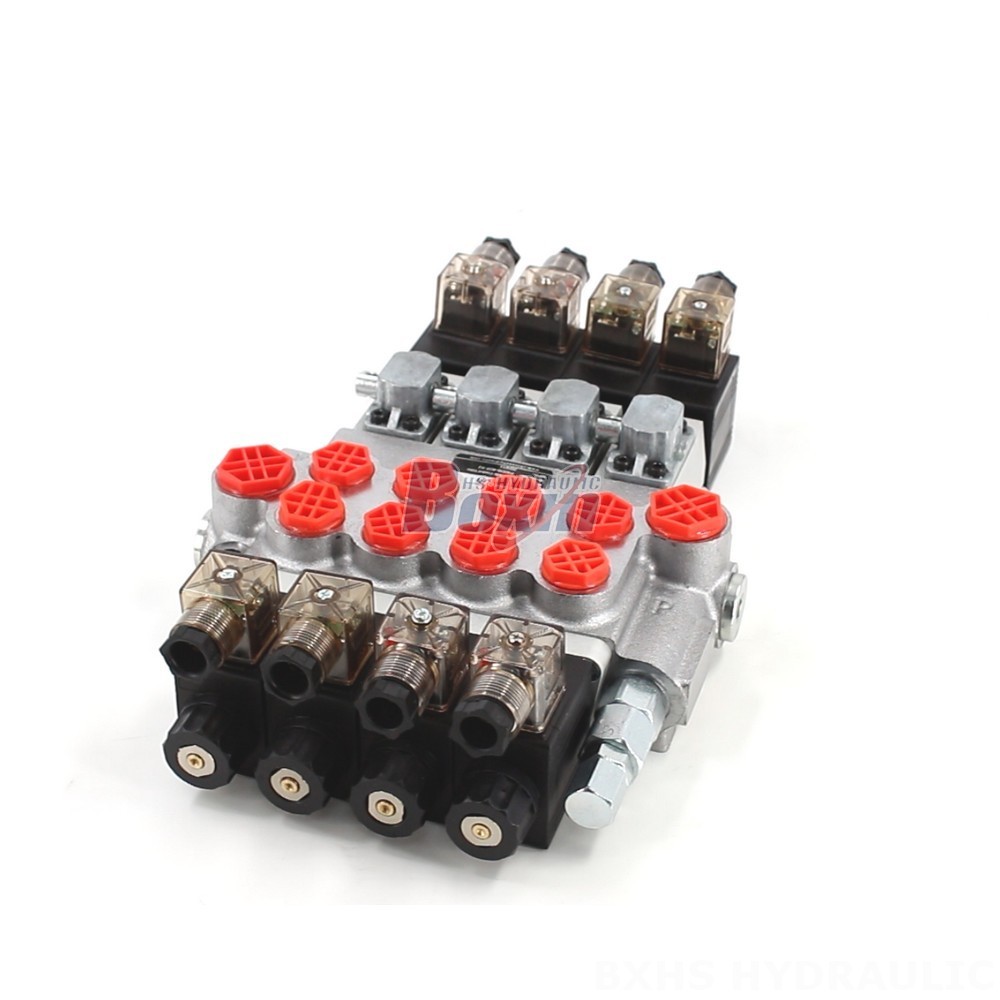 P40-DS Solenoid Valve: Factory Direct Supply, Competitive Pricing main image