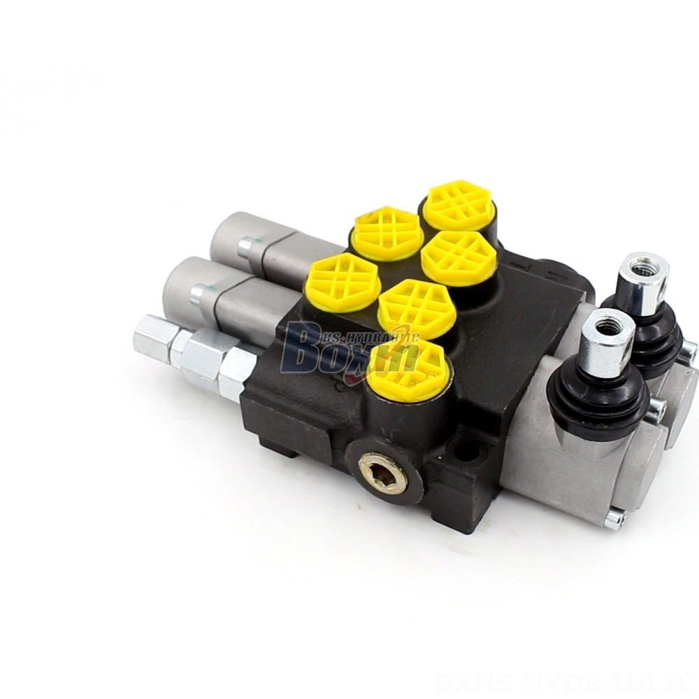 Hydraulic Monoblock Valve P40-G12-2OT | Wholesale & OEM cover photo
