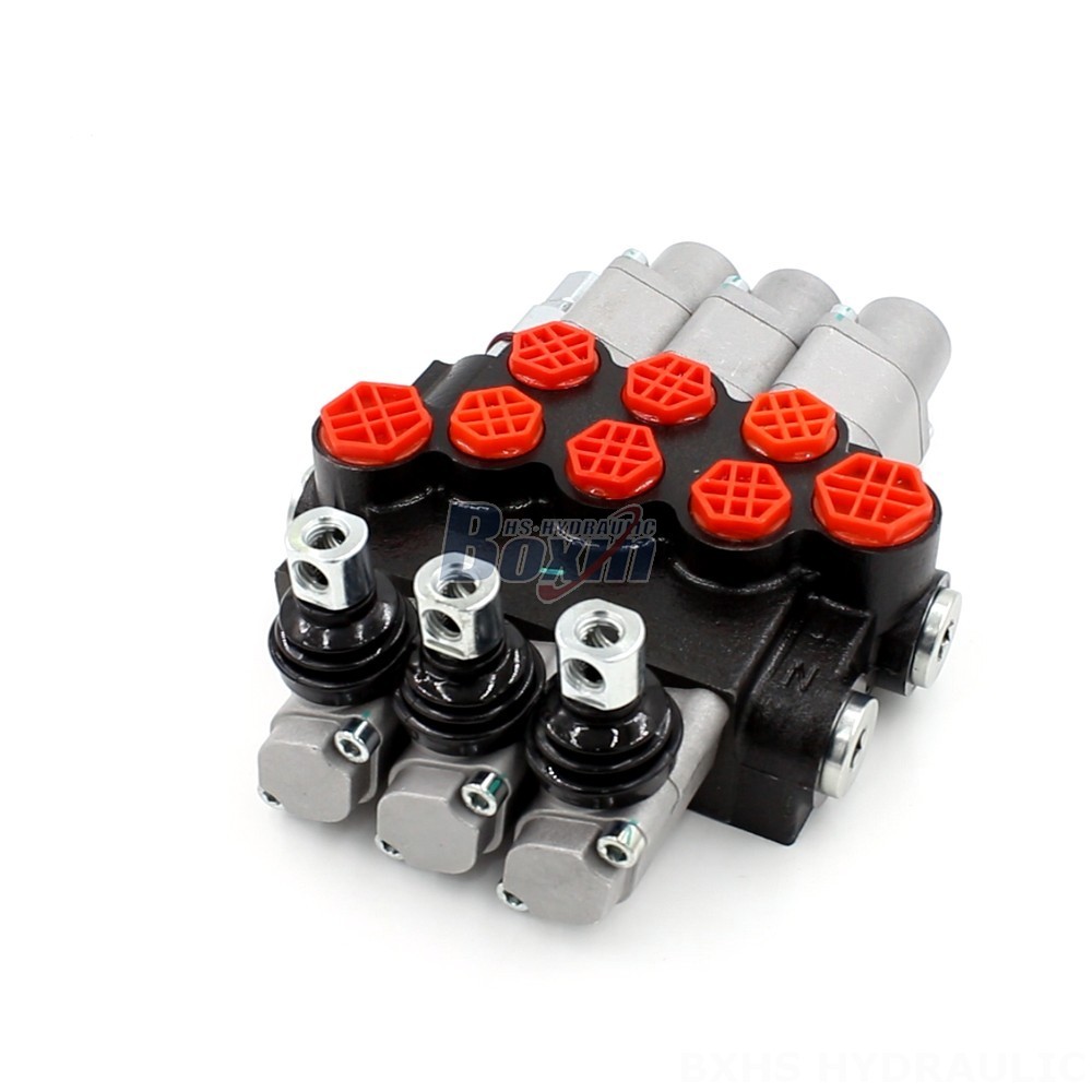 Directional Valve for Hydraulic Systems | Feature-Rich P40-G12-G38-3QTW main image