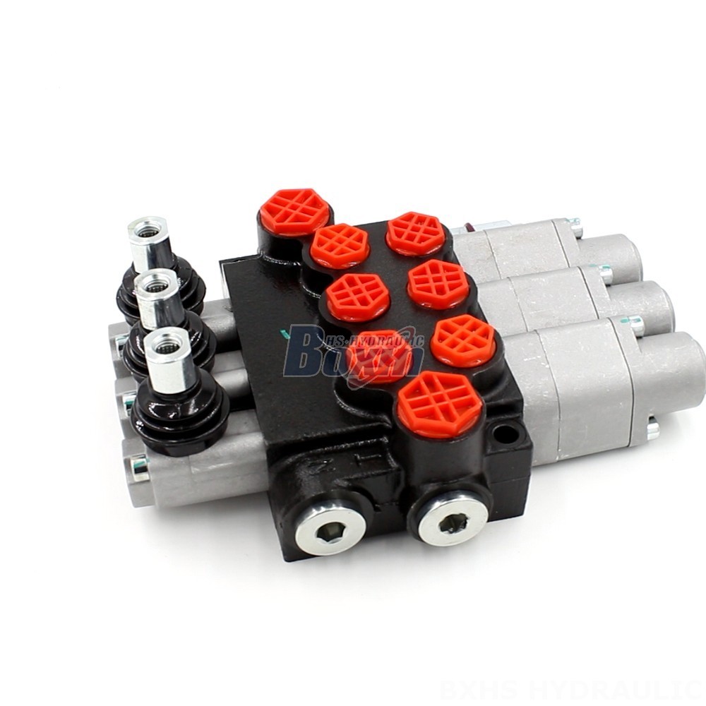 Directional Valve for Hydraulic Systems | Feature-Rich P40-G12-G38-3QTW main image