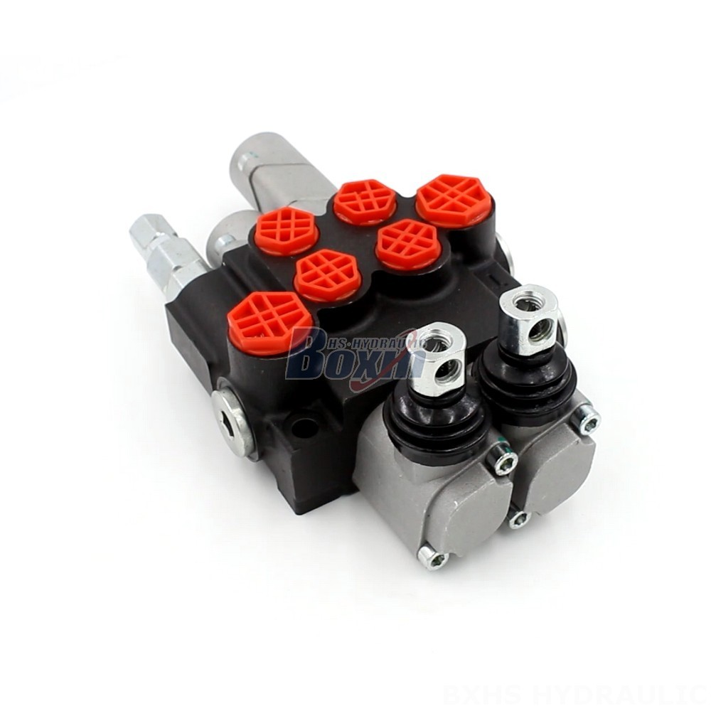P40-G12-G38-OT-QTW1 Manual 2 Spool Monoblock Directional Valve | Manufacturer & Global Supplier cover photo