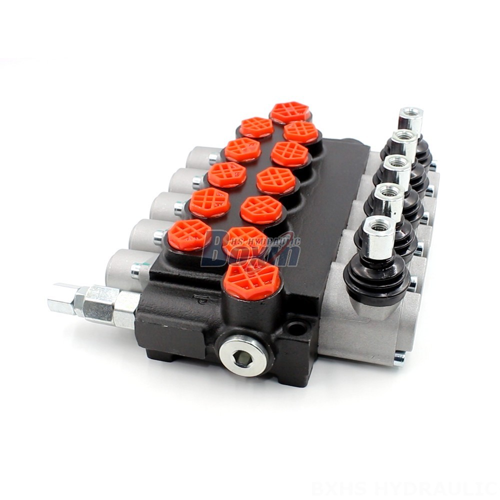 P40-G12-G38 Monoblock Directional Valve | Private Label & OEM Manufacturing main image