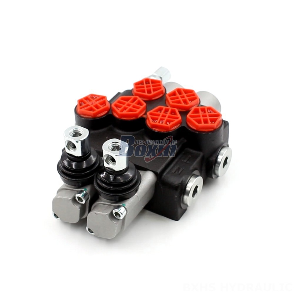 P40-G12 Manual 2 Spool Monoblock Directional Valve | Manufacturer & Global Supplier cover photo