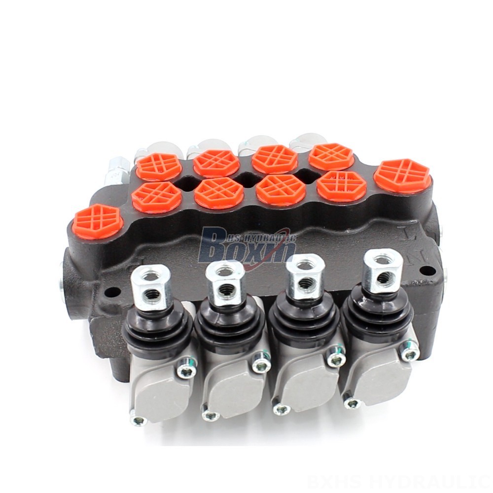 Private Label Hydraulic Valves: Enhance Your Brand with P80-G12-G34-OT main image