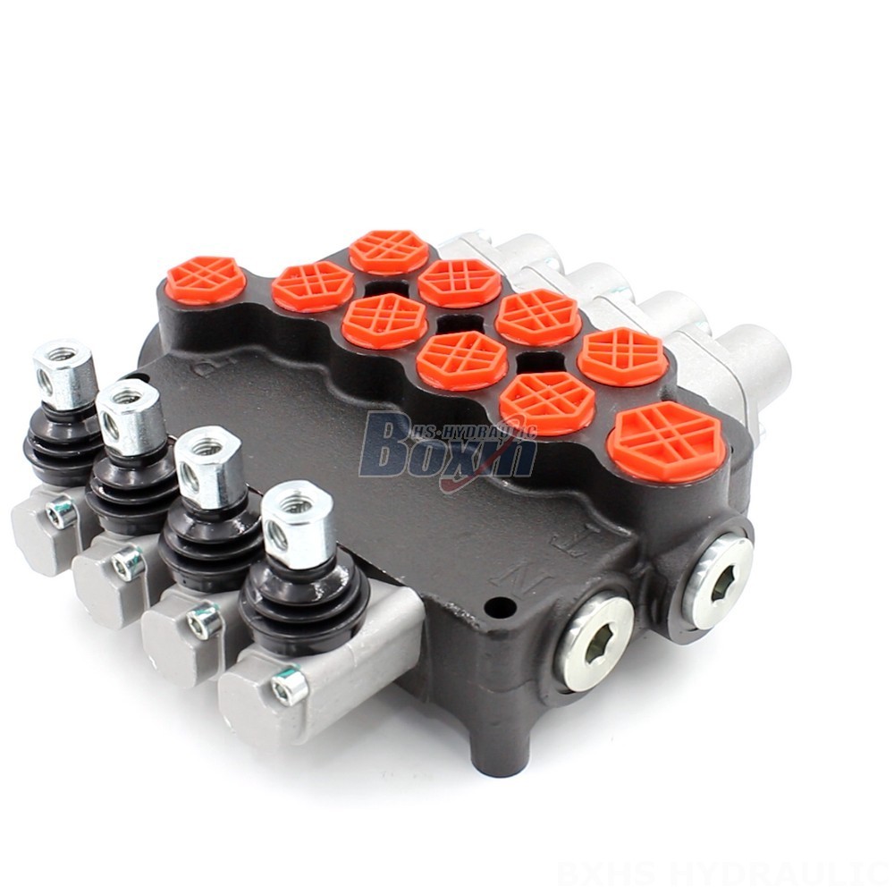 Private Label Hydraulic Valves: Enhance Your Brand with P80-G12-G34-OT main image