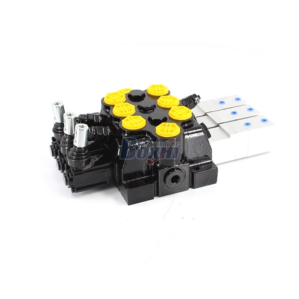 Leading Manufacturer of WZF-125 Monoblock Directional Valves main image